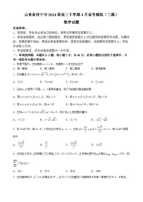 2024济宁高三下学期4月二模试题数学含答案