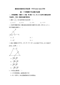 湖南省常德市汉寿县第一中学2023-2024学年高一下学期4月期中考试数学试题