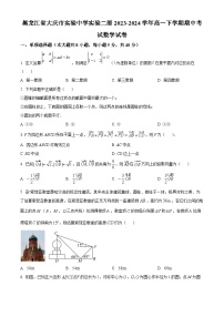 黑龙江省大庆市实验中学实验二部2023-2024学年高一下学期期中考试数学试卷（原卷版+解析版）