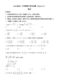 江苏省南京市中华中学2023-2024学年高一下学期期中联考数学试题（原卷版+解析版）