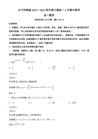 四川省凉山州安宁河联盟2023-2024学年高一下学期期中联考数学试题（Word版附解析）