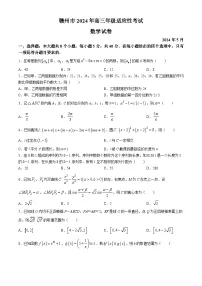 江西省赣州市2023-2024学年高三下学期5月适应性考试数学试题