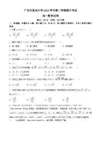 广东省广州市真光中学2023-2024学年高一下学期期中考试数学试卷(无答案)