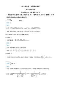 上海市嘉定区第一中学2023-2024学年高一下学期期中考试数学试卷