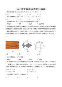 2024年甘肃省张掖市高考数学三诊试卷