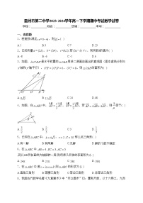 雷州市第二中学2023-2024学年高一下学期期中考试数学试卷(含答案)