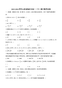 2023-2024学年山东省临沂市高一（下）期中数学试卷（含解析）