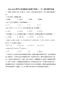 2023-2024学年江苏省南京市金陵中学高一（下）期中数学试卷（含解析）