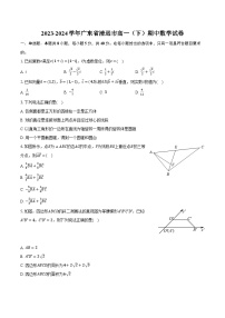 2023-2024学年广东省清远市高一（下）期中数学试卷（含解析）