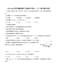 2023-2024学年福建省厦门市湖滨中学高一（下）期中数学试卷（含解析）