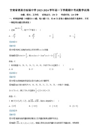 甘肃省酒泉市实验中学2023-2024学年高一下学期期中考试数学试卷