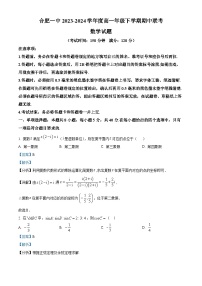 安徽省合肥市第一中学2023-2024学年高一下学期期中数学试卷（Word版附解析）