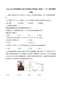 2023-2024学年黑龙江省大庆实验中学实验一部高一（下）期中数学试卷（含解析）
