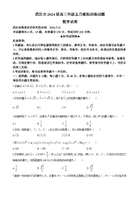 湖北省武汉市2024届高三下学期5月模拟训练数学试题（Word版附答案）
