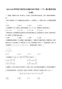 四川省泸州市泸州老窖天府中学2023-2024学年高二下学期5月期中考试数学试题（B）