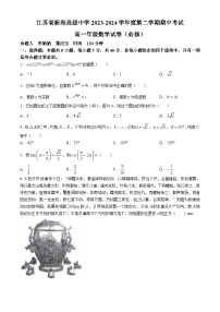 江苏省连云港市新海高级中学2023-2024学年高一下学期期中考试数学试卷(无答案)