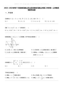 2023_2024学年11月安徽马鞍山花山区安徽省马鞍山市第二中学高一上学期月考数学试卷