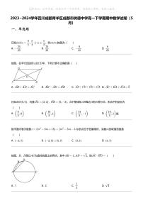 2023_2024学年四川成都青羊区成都市树德中学高一下学期期中数学试卷（5月）