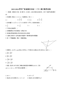 2023-2024学年广东省惠州市高一（下）期中数学试卷-普通用卷