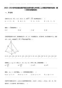 2023_2024学年安徽合肥庐阳区合肥市第九中学高二上学期月考数学试卷（第一次单元质量检测）