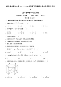 黑龙江省哈尔滨市第九中学校2023-2024学年高一下学期期中学业阶段评价考试数学试卷