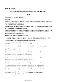 2024年全国高考真题新课标Ⅰ卷数学试卷及答案解析（考后更新）