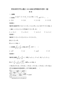 【数学】青海省西宁市大通县2024届高考四模试卷（理）（解析版）