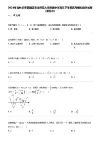 2024年吉林长春朝阳区东北师范大学附属中学高三下学期高考模拟数学试卷（第五次）