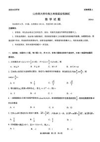 （新高考新构架19题）山东师范大学附属中学2024届高三下学期考前适应性测试数学试题（含答案）