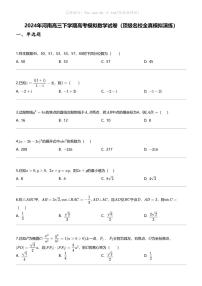 2024年河南高三下学期高考模拟数学试卷（顶级名校全真模拟演练）