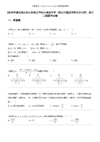 2024年湖北武汉洪山区武汉市洪山高级中学（武汉外国语学校光谷分校）高三二模数学试卷