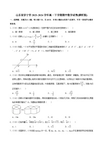 山东省济宁市2023-2024学年高一下学期期中数学试卷(解析版)