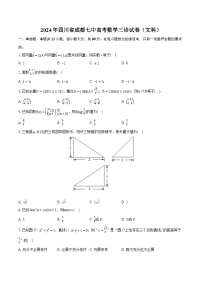 2024年四川省成都七中高考数学三诊试卷（文科）（含详细答案解析）