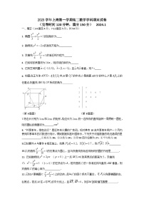 上海市奉贤区2023-2024学年高二上学期期末考试数学试卷