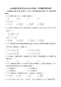 山东省临沂市河东区2023-2024学年高一下学期期中数学试卷（含答案）