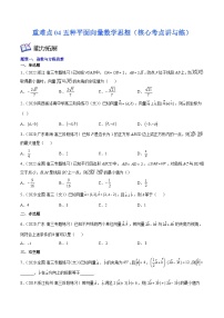 高考数学一轮复习核心考点讲与练(新高考专用)重难点04五种平面向量数学思想(核心考点讲与练)(原卷版+解析)