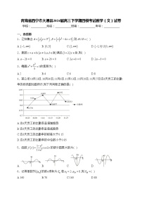 青海省西宁市大通县2024届高三下学期四模考试数学（文）试卷(含答案)
