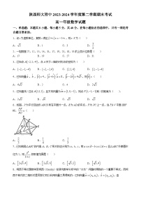 陕西师范大学附属中学2023-2024学年高一下学期期末考试数学试题(无答案)