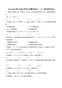 2023-2024学年云南大学附中星耀学校高二（下）期末数学试卷（含答案）