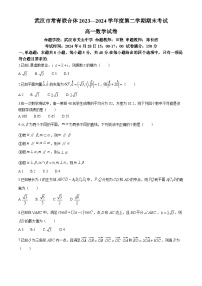 湖北省武汉市常青联合体2023-2024学年高一下学期期末考试数学试卷（Word版附答案）