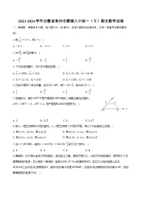 2023-2024学年安徽省亳州市蒙城八中高一（下）期末数学试卷（含解析）