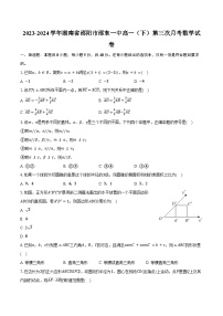 2023-2024学年湖南省邵阳市邵东一中高一（下）第三次月考数学试卷（含解析）