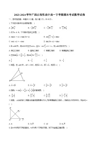 2023-2024学年广西示范性高中高一下学期期末考试数学试卷（含解析）