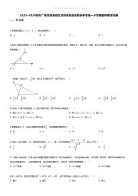 [数学][期中]2023_2024学年广东深圳宝安区深圳市宝安区新安中学高一下学期期中数学试卷