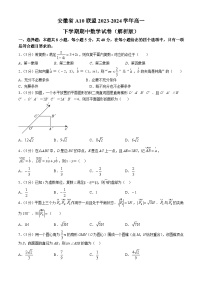 安徽省A10联盟2023-2024学年高一下学期期中数学试卷