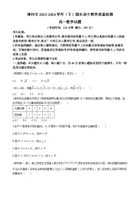 福建省漳州市2023-2024学年高一下学期期末教学质量检测数学试题