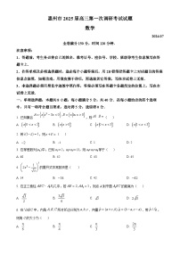2025届广东省惠州市高三上学期第一次调研考试数学试题