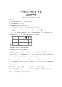 [数学]陕西省宝鸡市眉县中数学2023届高三上学期1月一模考试数学(文)试卷(解析版)