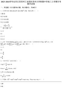 2023~2024学年12月江苏苏州工业园区苏州大学附属中学高三上学期月考数学试卷（含答案与解析）