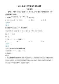 四川省眉山市仁寿县第一中学北校区2024届高三下学期模拟预测数学（文）试卷（Word版附解析）